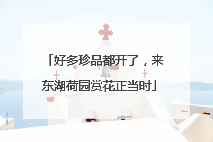 好多珍品都开了，来东湖荷园赏花正当时
