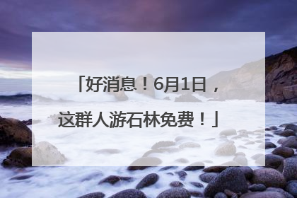 好消息！6月1日，这群人游石林免费！