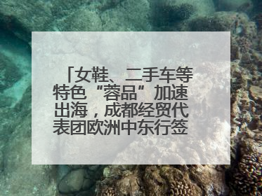 女鞋、二手车等特色“蓉品”加速出海，成都经贸代表团欧洲中东行签单逾3.7亿元