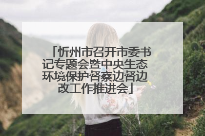 忻州市召开市委书记专题会暨中央生态环境保护督察边督边改工作推进会