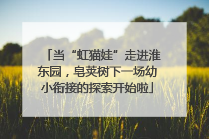 当“虹猫娃”走进淮东园，皂荚树下一场幼小衔接的探索开始啦