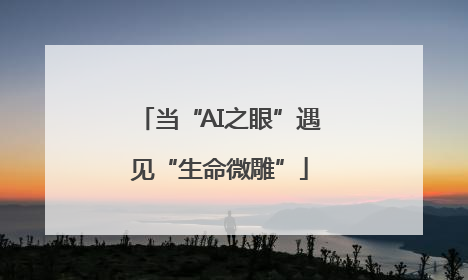 当“AI之眼”遇见“生命微雕”