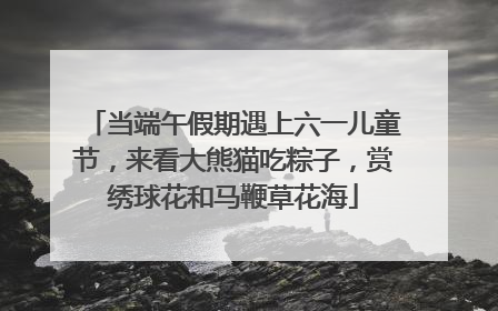 当端午假期遇上六一儿童节，来看大熊猫吃粽子，赏绣球花和马鞭草花海