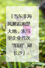 当东非海风邂逅湘楚大地，索马里企业首次“组团”刷长沙