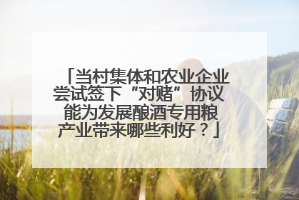 当村集体和农业企业尝试签下“对赌”协议 能为发展酿酒专用粮产业带来哪些利好？