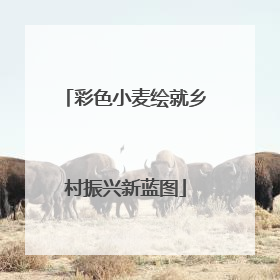 彩色小麦绘就乡村振兴新蓝图