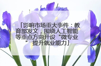 影响市场重大事件：教育部发文，围绕人工智能等重点方向开设“微专业” 提升就业能力