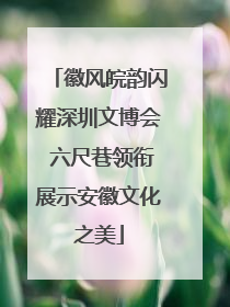 徽风皖韵闪耀深圳文博会 六尺巷领衔展示安徽文化之美