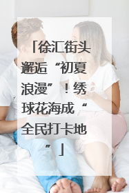 徐汇街头邂逅“初夏浪漫”！绣球花海成“全民打卡地”