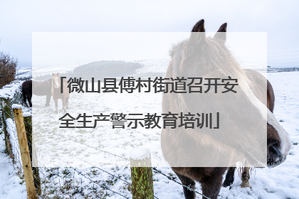 微山县傅村街道召开安全生产警示教育培训