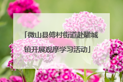 微山县傅村街道赴驩城镇开展观摩学习活动
