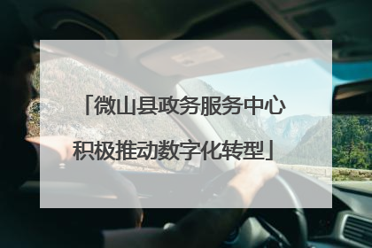 微山县政务服务中心积极推动数字化转型