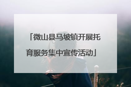 微山县马坡镇开展托育服务集中宣传活动