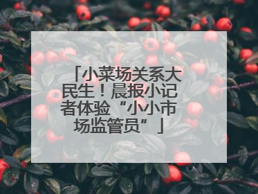 小菜场关系大民生！晨报小记者体验“小小市场监管员”
