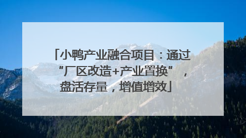 小鸭产业融合项目：通过“厂区改造+产业置换”，盘活存量，增值增效