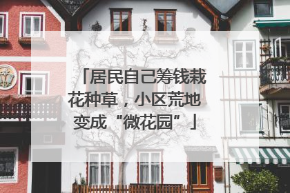 居民自己筹钱栽花种草，小区荒地变成“微花园”