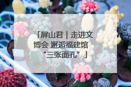 屏山君｜走进文博会 邂逅福建馆“三张面孔”