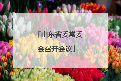 山东省委常委会召开会议