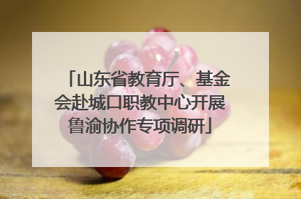 山东省教育厅、基金会赴城口职教中心开展鲁渝协作专项调研