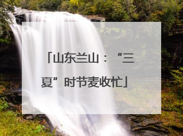 山东兰山：“三夏”时节麦收忙