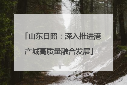 山东日照：深入推进港产城高质量融合发展