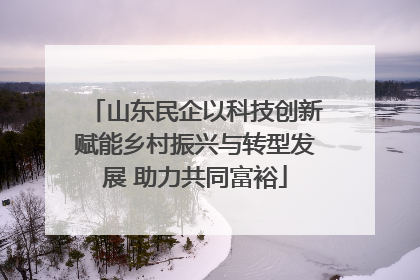 山东民企以科技创新赋能乡村振兴与转型发展 助力共同富裕