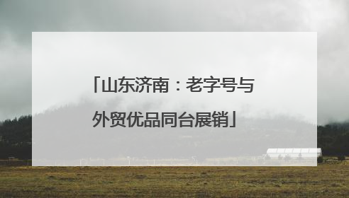 山东济南：老字号与外贸优品同台展销