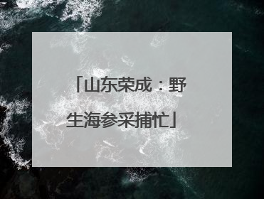 山东荣成：野生海参采捕忙