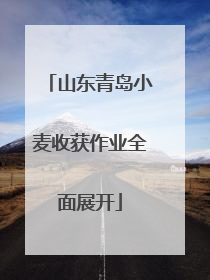 山东青岛小麦收获作业全面展开