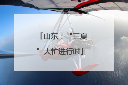 山东：“三夏”大忙进行时