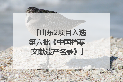 山东2项目入选第六批《中国档案文献遗产名录》