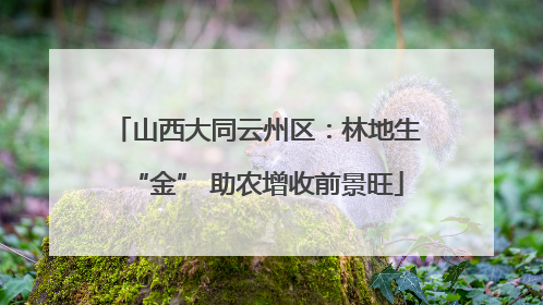山西大同云州区：林地生“金” 助农增收前景旺
