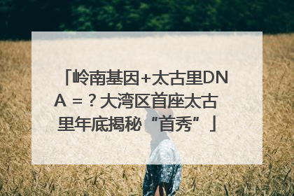 岭南基因+太古里DNA =？大湾区首座太古里年底揭秘“首秀”
