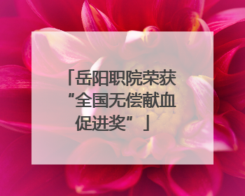 岳阳职院荣获“全国无偿献血促进奖”