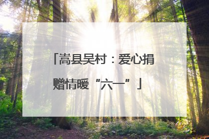 嵩县吴村：爱心捐赠情暖“六一”