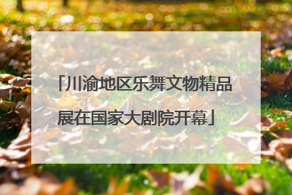 川渝地区乐舞文物精品展在国家大剧院开幕