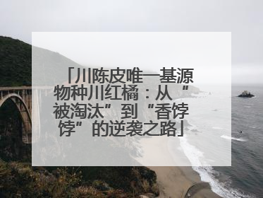 川陈皮唯一基源物种川红橘：从“被淘汰”到“香饽饽”的逆袭之路