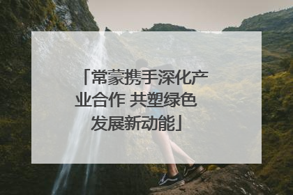 常蒙携手深化产业合作 共塑绿色发展新动能