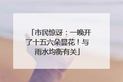 市民惊讶：一晚开了十五六朵昙花！与雨水均衡有关
