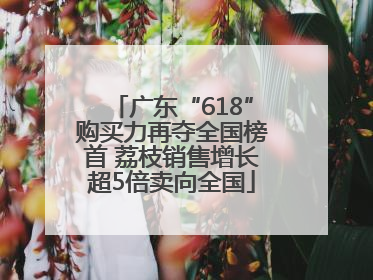 广东“618”购买力再夺全国榜首 荔枝销售增长超5倍卖向全国