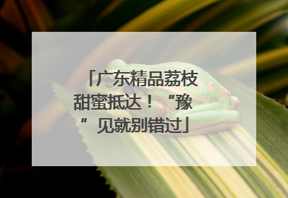 广东精品荔枝甜蜜抵达！“豫”见就别错过