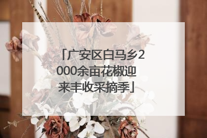 广安区白马乡2000余亩花椒迎来丰收采摘季