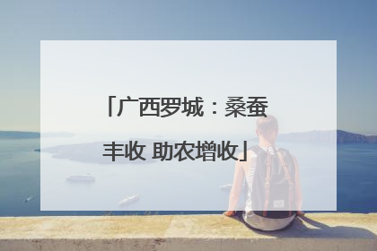 广西罗城：桑蚕丰收 助农增收