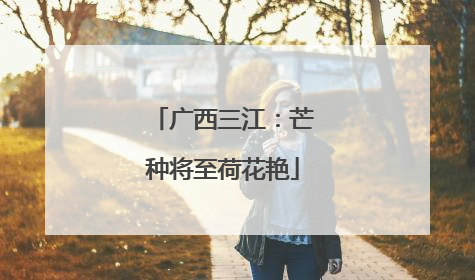 广西三江：芒种将至荷花艳