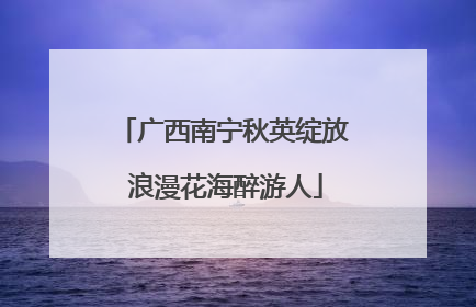广西南宁秋英绽放 浪漫花海醉游人