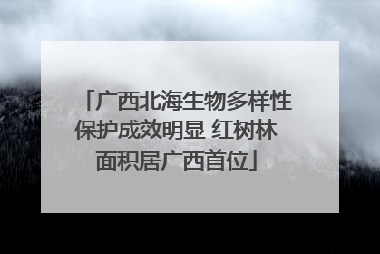 广西北海生物多样性保护成效明显 红树林面积居广西首位