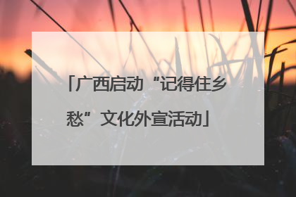 广西启动“记得住乡愁”文化外宣活动