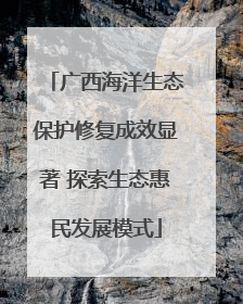 广西海洋生态保护修复成效显著 探索生态惠民发展模式
