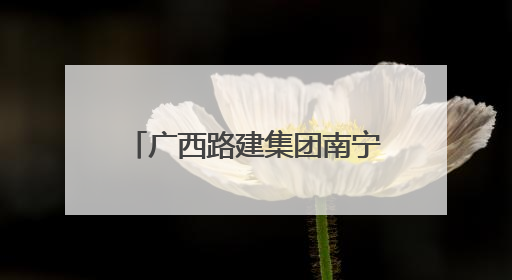 广西路建集团南宁市在建轨道交通项目 安全管理实现从“人防”到“技防”