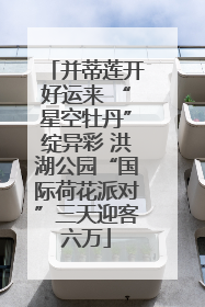 并蒂莲开好运来 “星空牡丹”绽异彩 洪湖公园“国际荷花派对”三天迎客六万